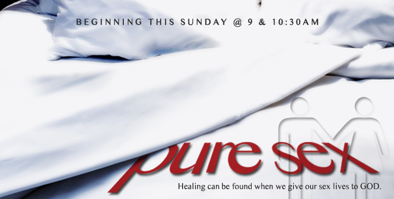 pure_web1